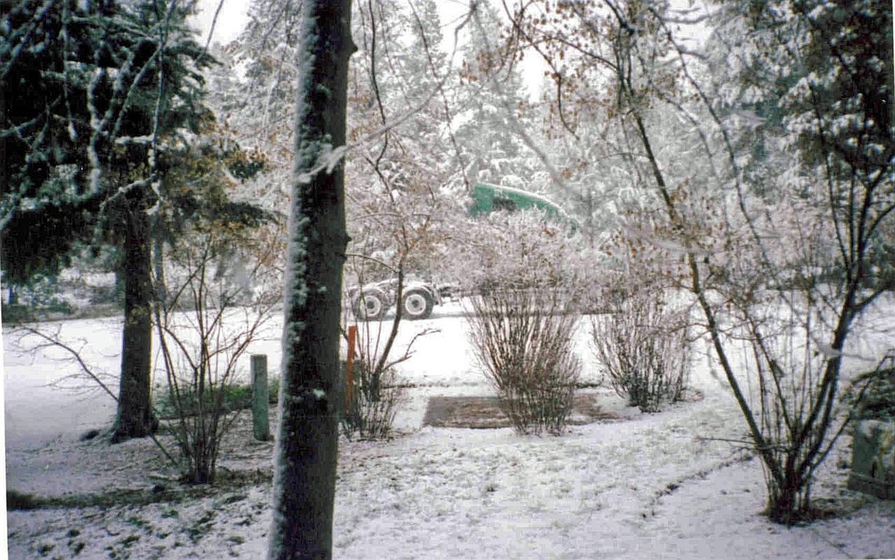 Fleur De Lac Europeran Inn Lake Arrowhead Exterior foto